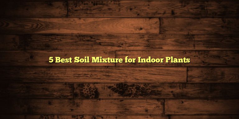 5 Best Soil Mixture for Indoor Plants