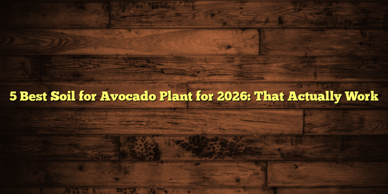 5 Best Soil for Avocado Plant for 2026: That Actually Work
