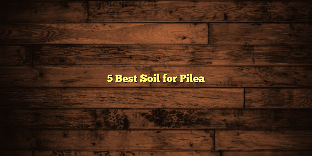 5 Best Soil for Pilea