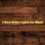 5 Best Solar Lights for Shed