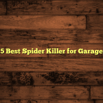5 Best Spider Killer for Garage