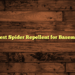 5 Best Spider Repellent for Basement