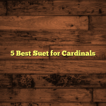 5 Best Suet for Cardinals