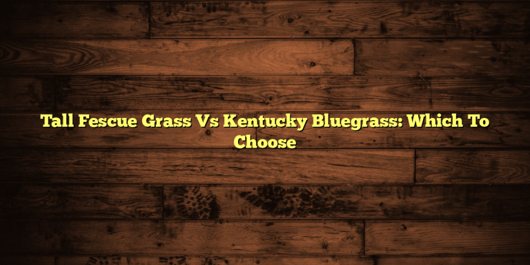 Tall Fescue Grass Vs Kentucky Bluegrass: Which To Choose