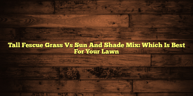 Tall Fescue Grass Vs Sun And Shade Mix: Which Is Best For Your Lawn