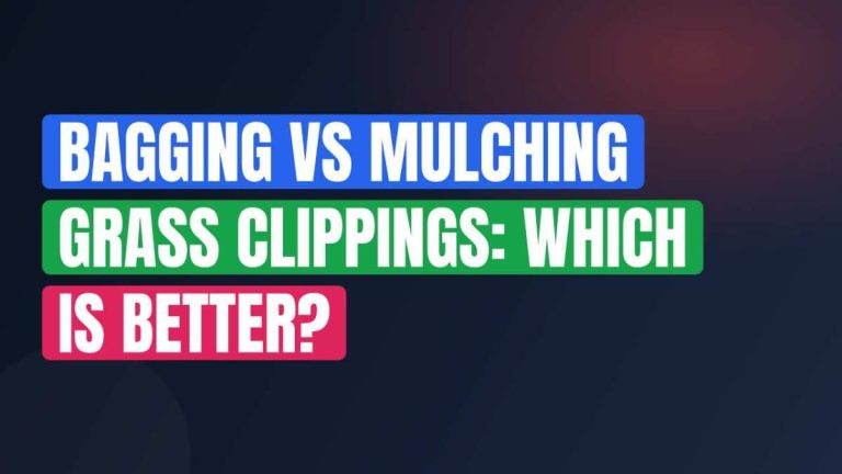 Bagging Vs Mulching Grass Clippings: Which Is Better?