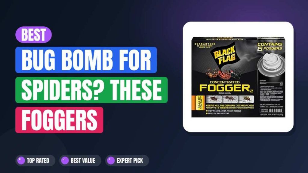 Best Bug Bomb for Spiders? These Foggers Actually Work