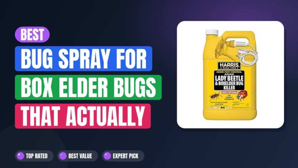 Best Bug Spray for Box Elder Bugs That Actually Works