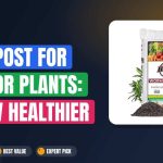 Best Compost for Indoor Plants: Grow Healthier in Weeks