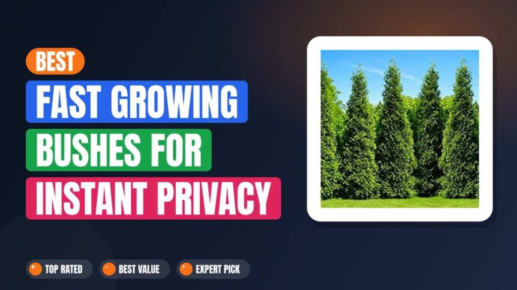 Best Fast Growing Bushes for Instant Privacy