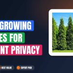 Best Fast Growing Bushes for Instant Privacy