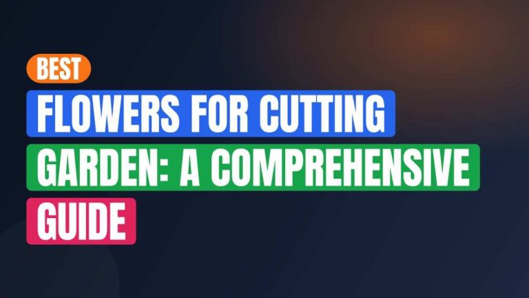 Best Flowers For Cutting Garden: A Comprehensive Guide