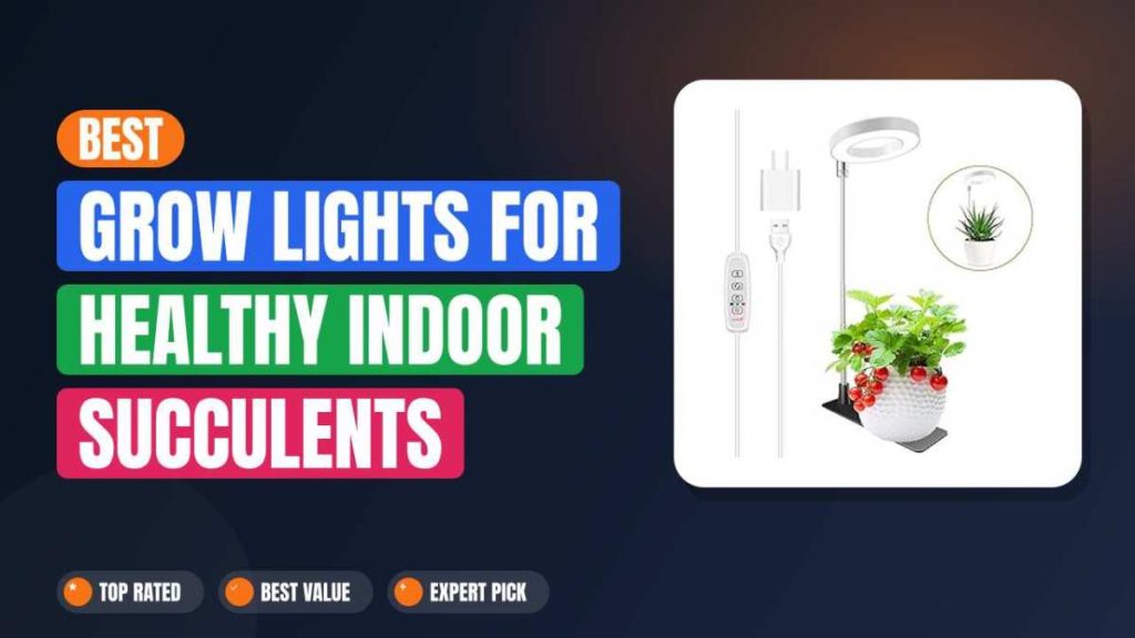 Best Grow Lights for Healthy Indoor Succulents