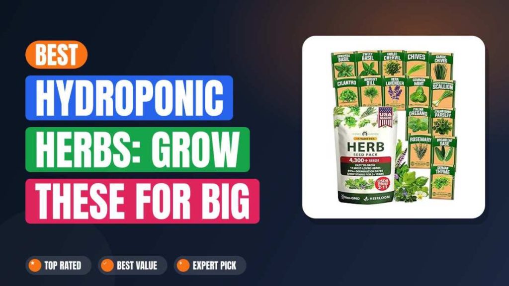 Best Hydroponic Herbs: Grow These for Big Harvests