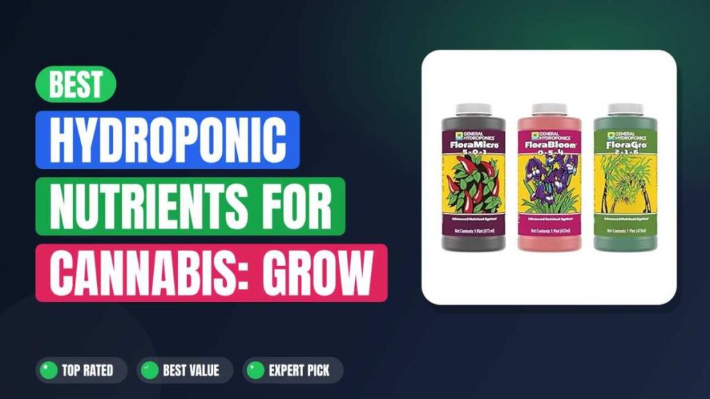 Best Hydroponic Nutrients for Cannabis: Grow Bigger Buds
