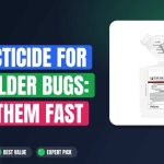 Best Insecticide for Boxelder Bugs: Kill Them Fast