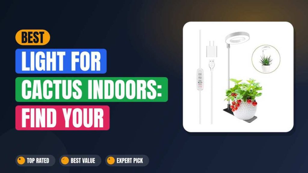 Best Light for Cactus Indoors: Find Your Perfect Match