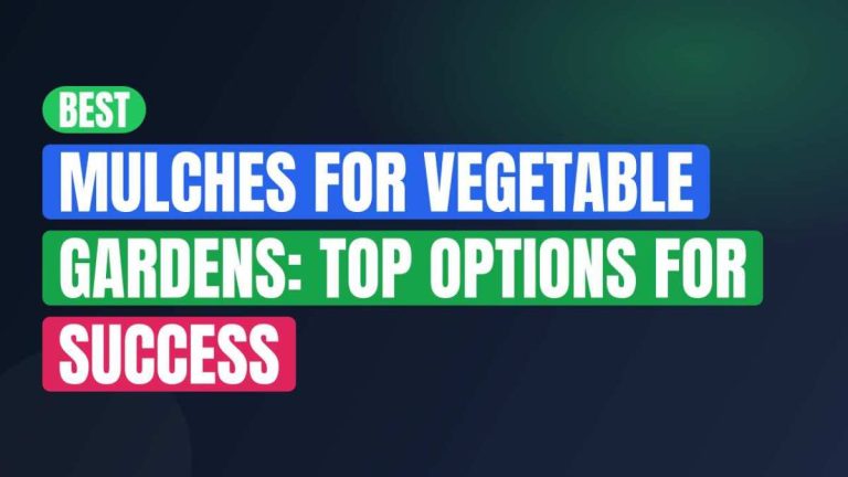 Best Mulches For Vegetable Gardens: Top Options For Success
