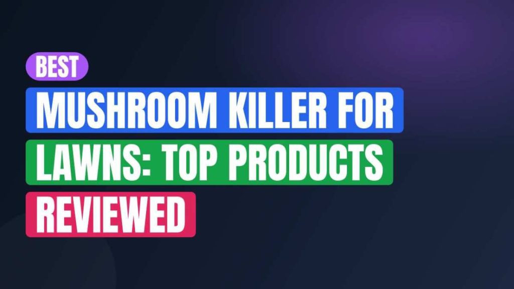 Best Mushroom Killer For Lawns: Top Products Reviewed