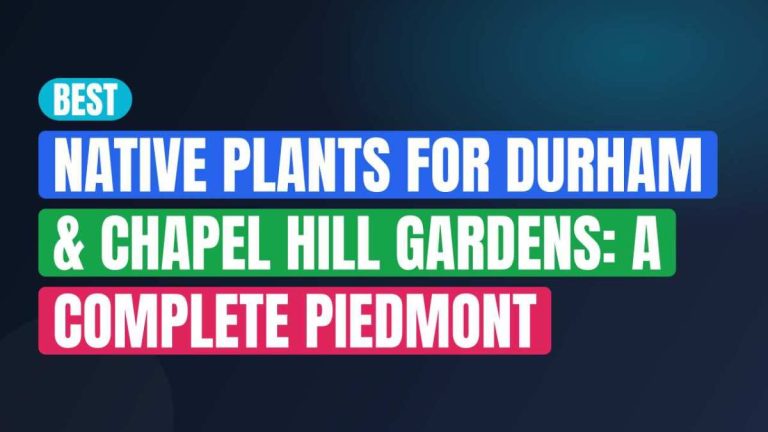Best Native Plants for Durham & Chapel Hill Gardens: A Complete Piedmont Planting Guide