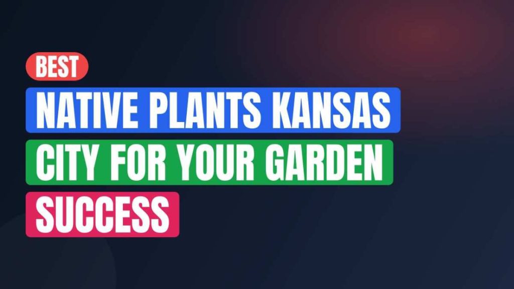 Best Native Plants Kansas City For Your Garden Success