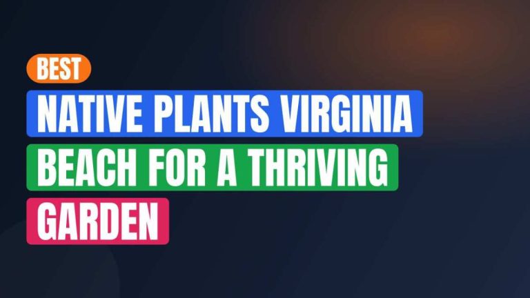Best Native Plants Virginia Beach For A Thriving Garden