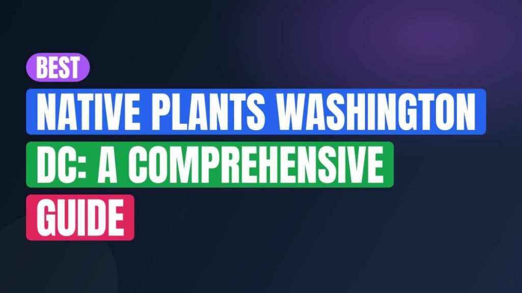 Best Native Plants Washington DC: A Comprehensive Guide