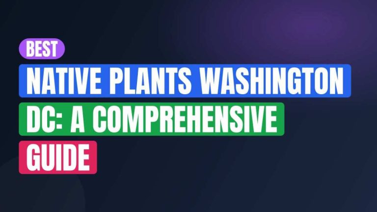 Best Native Plants Washington DC: A Comprehensive Guide