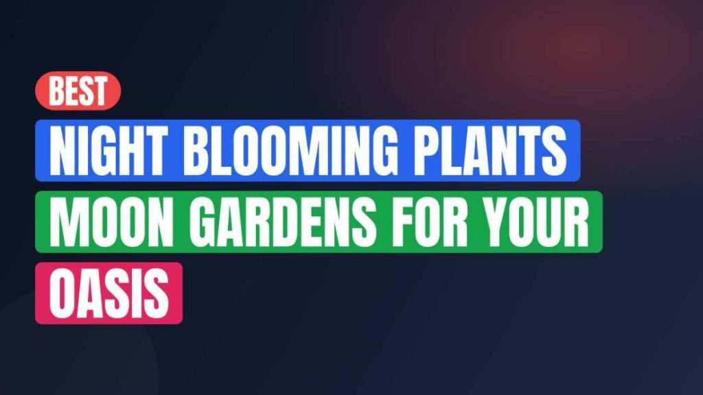 Best Night Blooming Plants Moon Gardens For Your Oasis