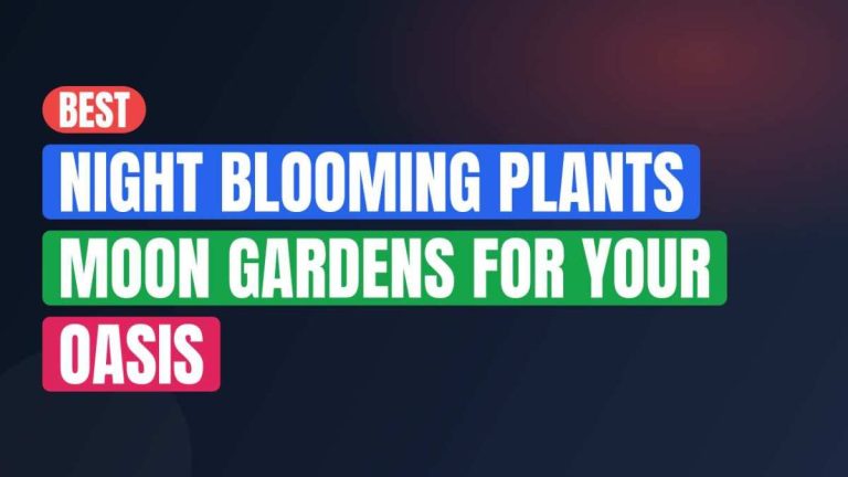 Best Night Blooming Plants Moon Gardens For Your Oasis
