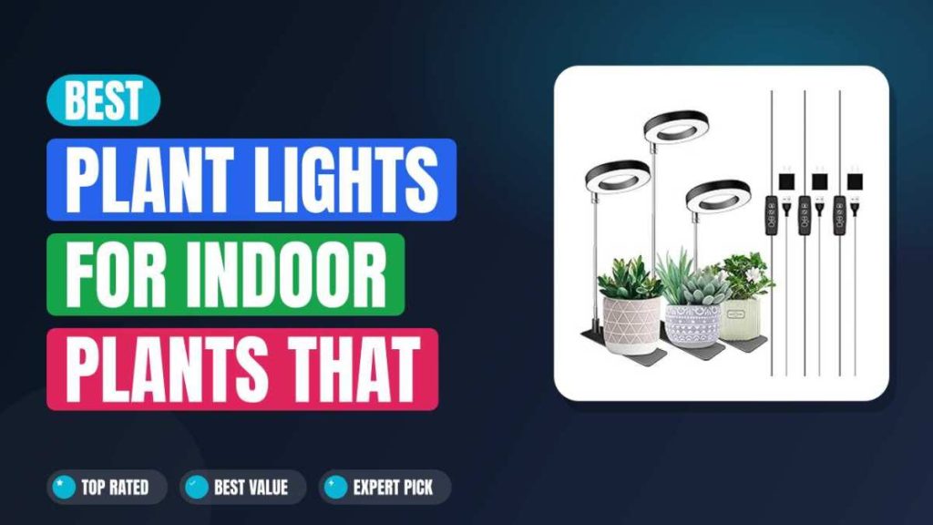 Best Plant Lights for Indoor Plants That Actually Work