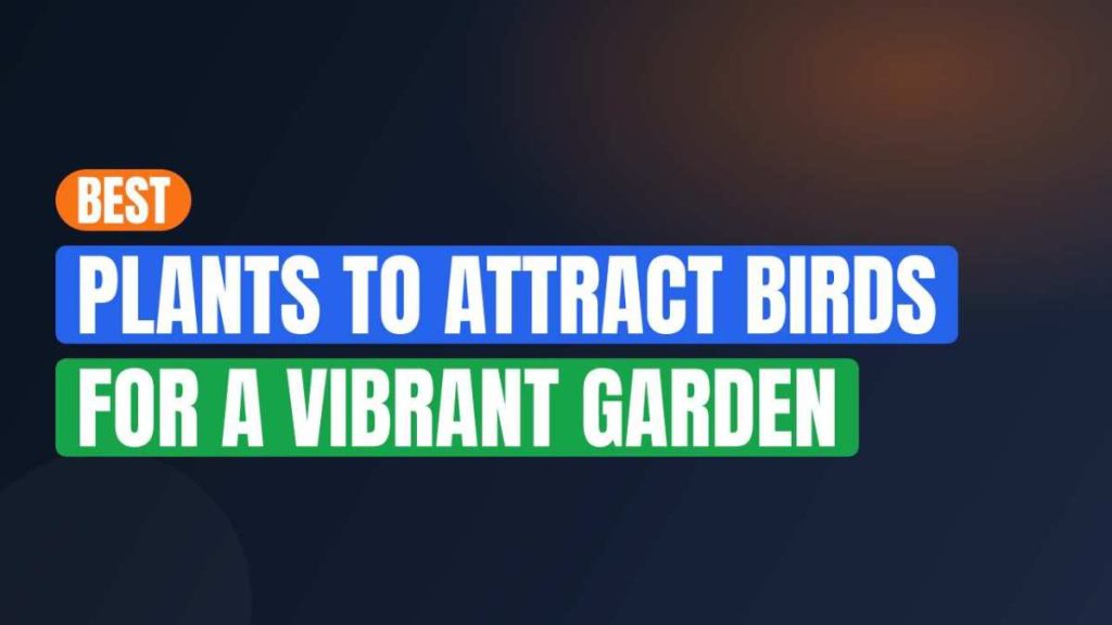 Best Plants To Attract Birds For A Vibrant Garden
