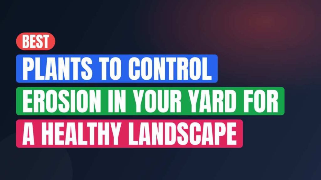 Best Plants To Control Erosion In Your Yard For A Healthy Landscape