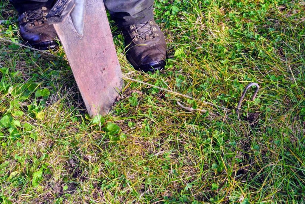 best shovel for sod cutting