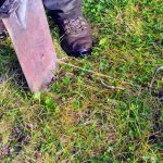 best shovel for sod cutting