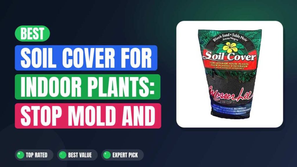 Best Soil Cover for Indoor Plants: Stop Mold and Gnats