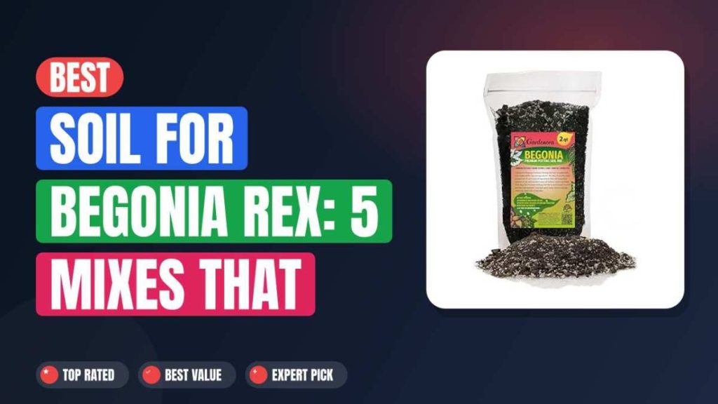 Best Soil for Begonia Rex: 5 Mixes That Thrive