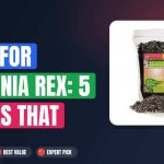 Best Soil for Begonia Rex: 5 Mixes That Thrive