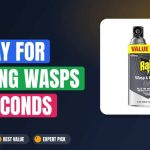 Best Spray for Killing Wasps in Seconds
