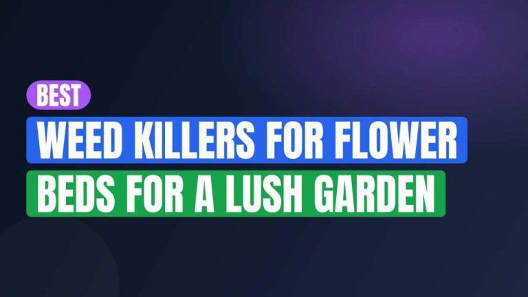Best Weed Killers for Flower Beds For A Lush Garden