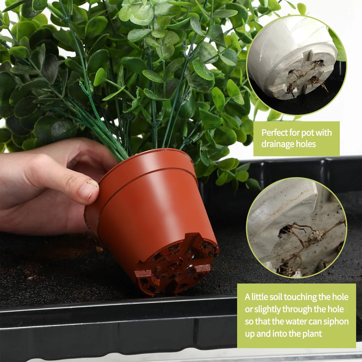 capillary wick watering