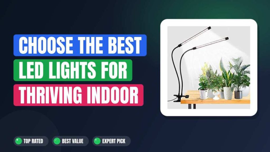 Choose the Best LED Lights for Thriving Indoor Plants