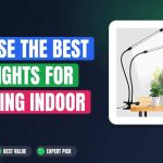 Choose the Best LED Lights for Thriving Indoor Plants
