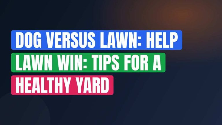 Dog Versus Lawn: Help Lawn Win: Tips For A Healthy Yard