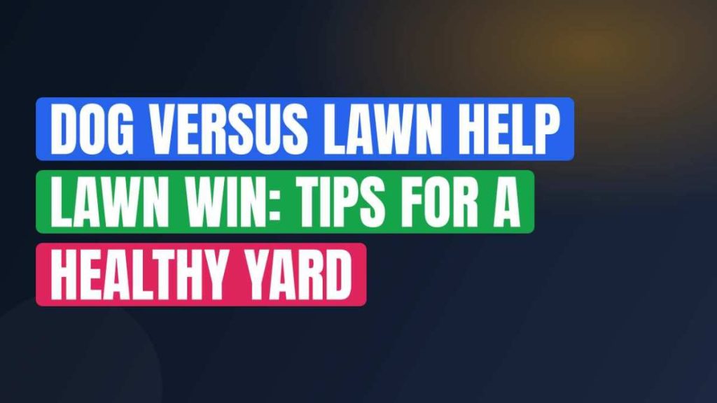 Dog Versus Lawn Help Lawn Win: Tips For A Healthy Yard