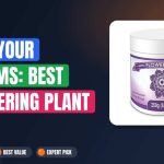 Feed Your Blooms: Best Flowering Plant Nutrients