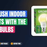 Get Lush Indoor Plants with the Best Bulbs