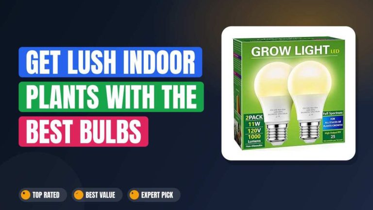Get Lush Indoor Plants with the Best Bulbs