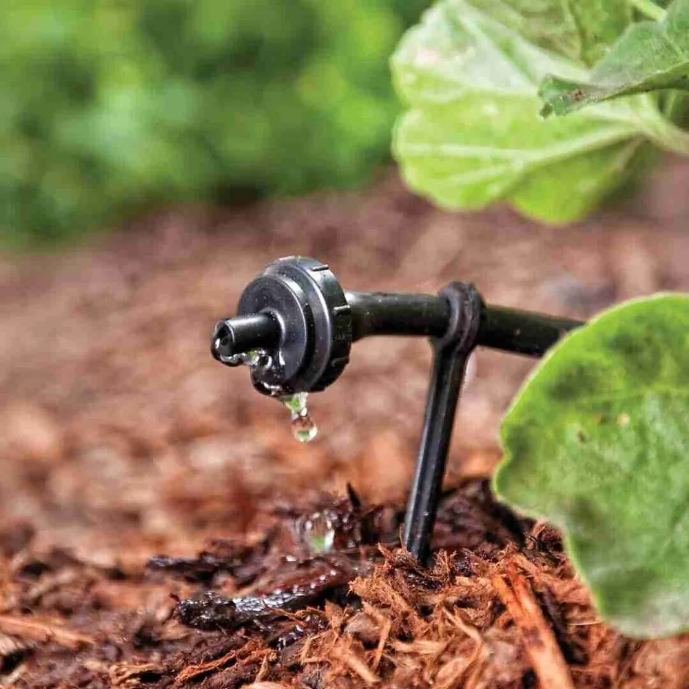 gravity-fed drip irrigation