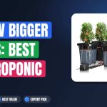 Grow Bigger Buds: Best Hydroponic Systems for Cannabis